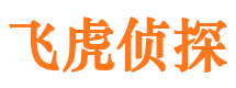 向阳侦探公司